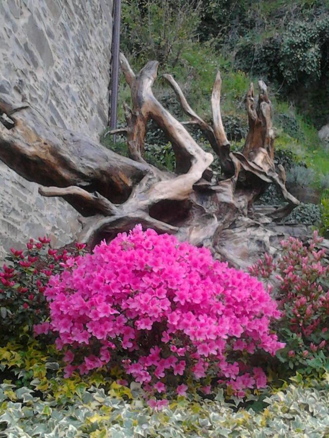 O Paxar Villa Samos Luaran gambar