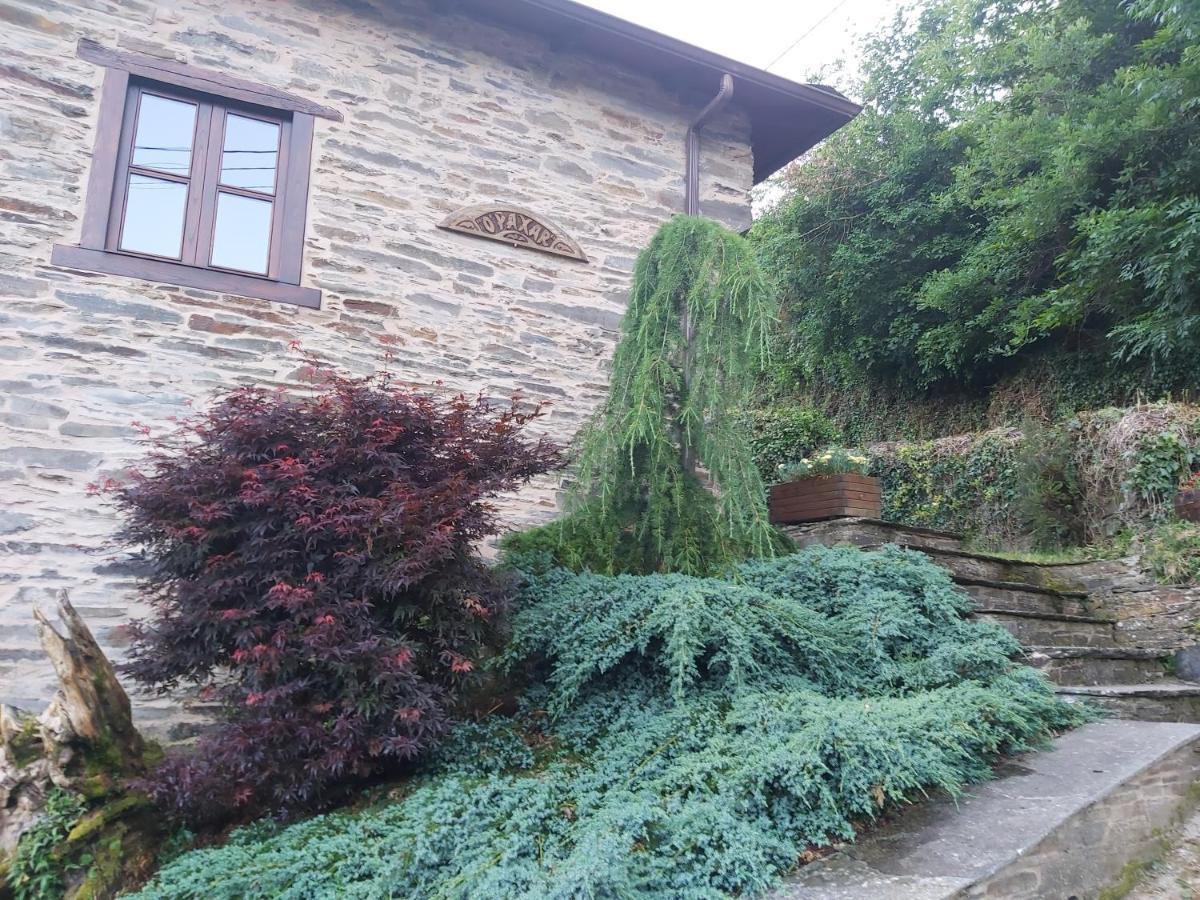 O Paxar Villa Samos Luaran gambar