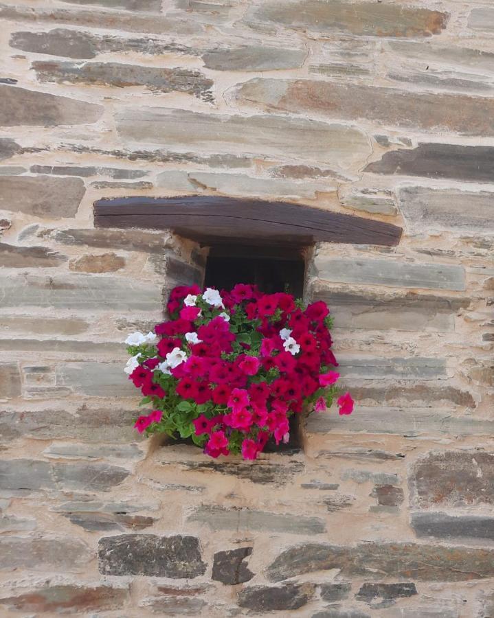 O Paxar Villa Samos Luaran gambar